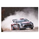 Lancia Corse gains valuable gravel experience at Rally Città di Foligno