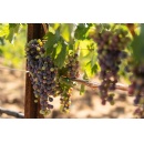 Four Seasons Resort and Residences Napa Valley Welcomes Back Calistoga Food and Wine