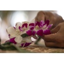 May Day at Four Seasons Resort Lanai