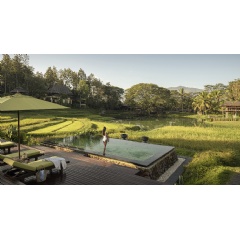 Four Seasons Resort Chiang Mai Recognized Among Thailand�s Best Resorts in the Travel + Leisure World�s Best Awards 2026