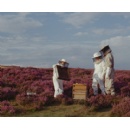 BT strengthens broadband leadership by putting online security at the heart of new campaign