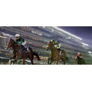Dubai Racing Club appoints Ticketmaster as official ticketing partner
