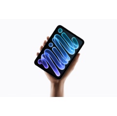 The new iPad mini offers the full iPad experience users can hold in the palm of their hand.