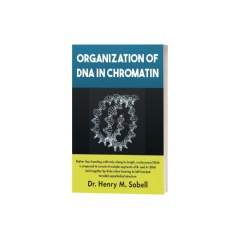Organization of DNA in Chromatin