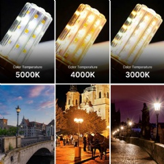 Wattage Options and CCT