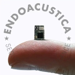 Micro voice recorder